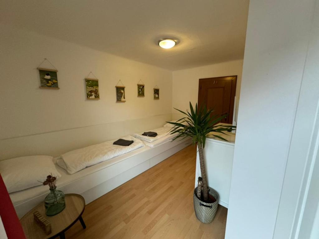 Go For Mountains Appartements Эбен  Экстерьер фото